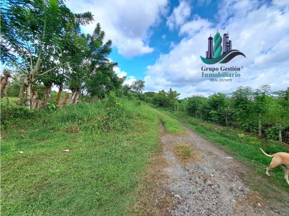 VENDO CASA 2HAB EN LOTE DE 800M2 LA ESTRELLA - 4