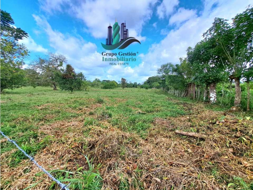 VENDO CASA 2HAB EN LOTE DE 800M2 LA ESTRELLA - 5