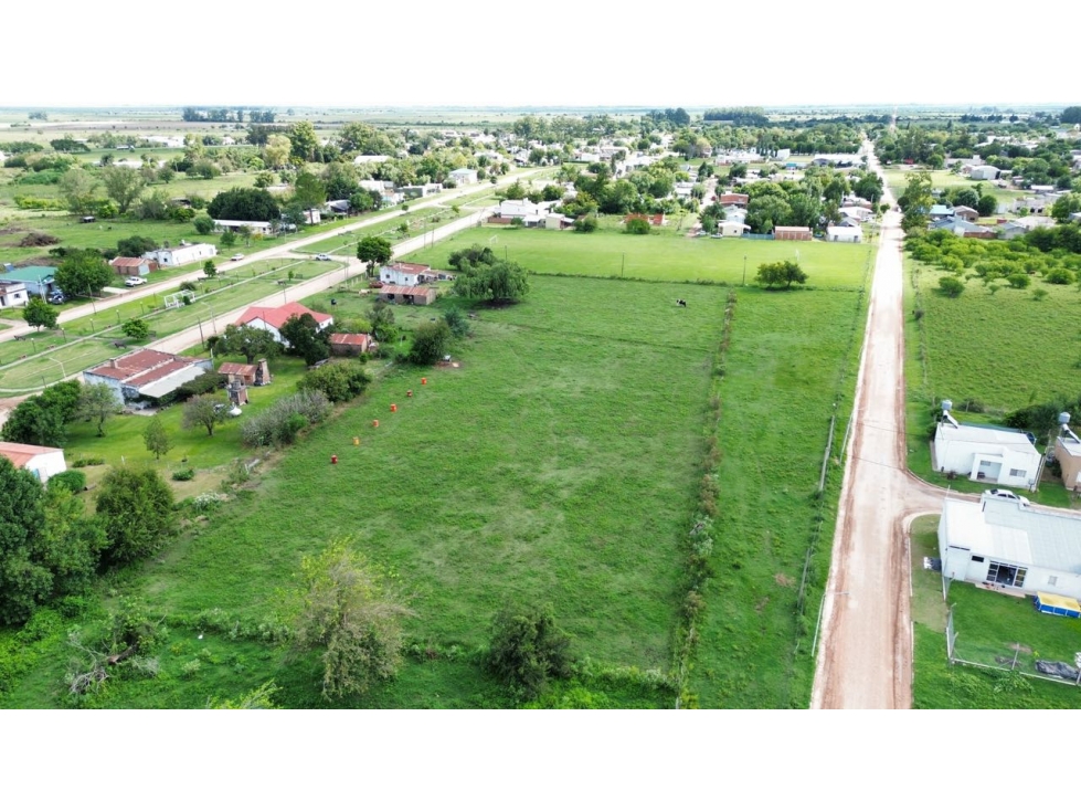 Vendo Casa a Refaccionar en Herrera, Entre Ríos. - 6