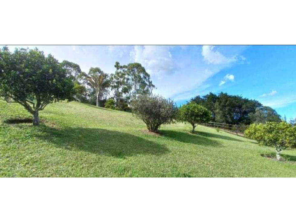 VENDO CASA CAMPESTRE LLANOGRANDE CABECERAS — foto 3