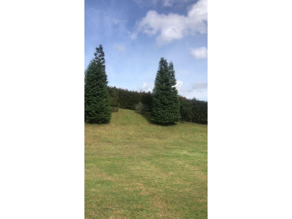 Vendo casa campestre 1 solo nivel en el Carmen de Viboral-El Canada — foto 4