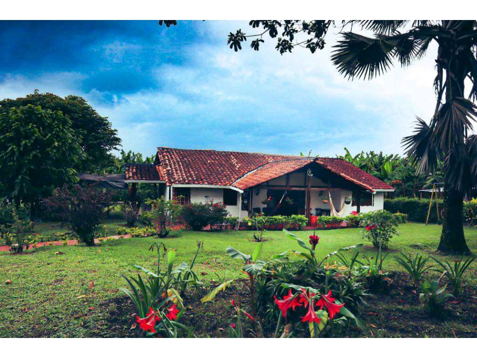 CASA CAMPESTRE ARRIENDO AMOBLADA EN QUIMBAYA, QUINDIO - 4