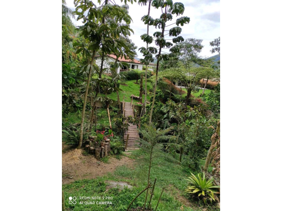 Vendo Casa Campestre El Retiro Ant. — foto 3