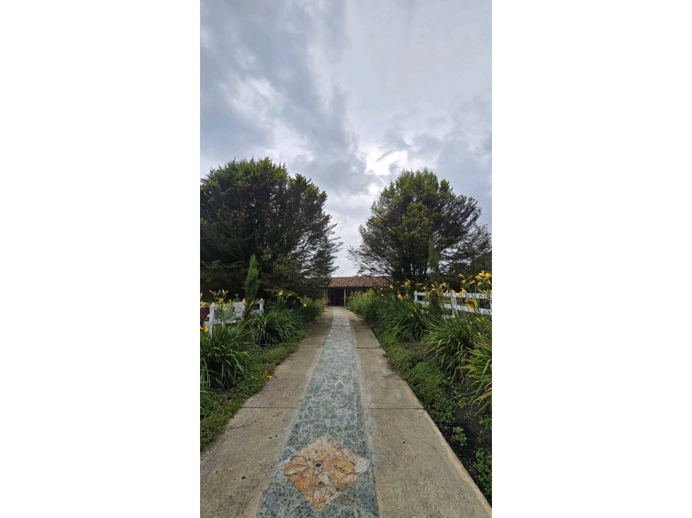 VENDO CASA CAMPESTRE EN SAN PEDRO DE LOS MILAGROS — foto 5