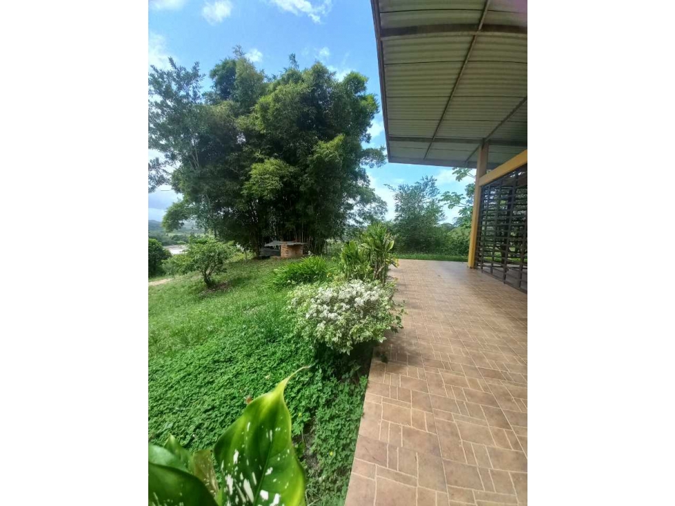 Vendo Finca Casa Campestre junto con Lote de terreno Cumaral Meta - 5