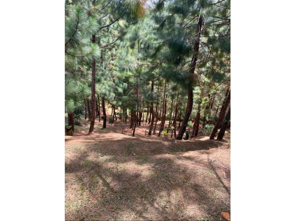 VENDO CASA CAMPESTRE ORIENTE — foto 3
