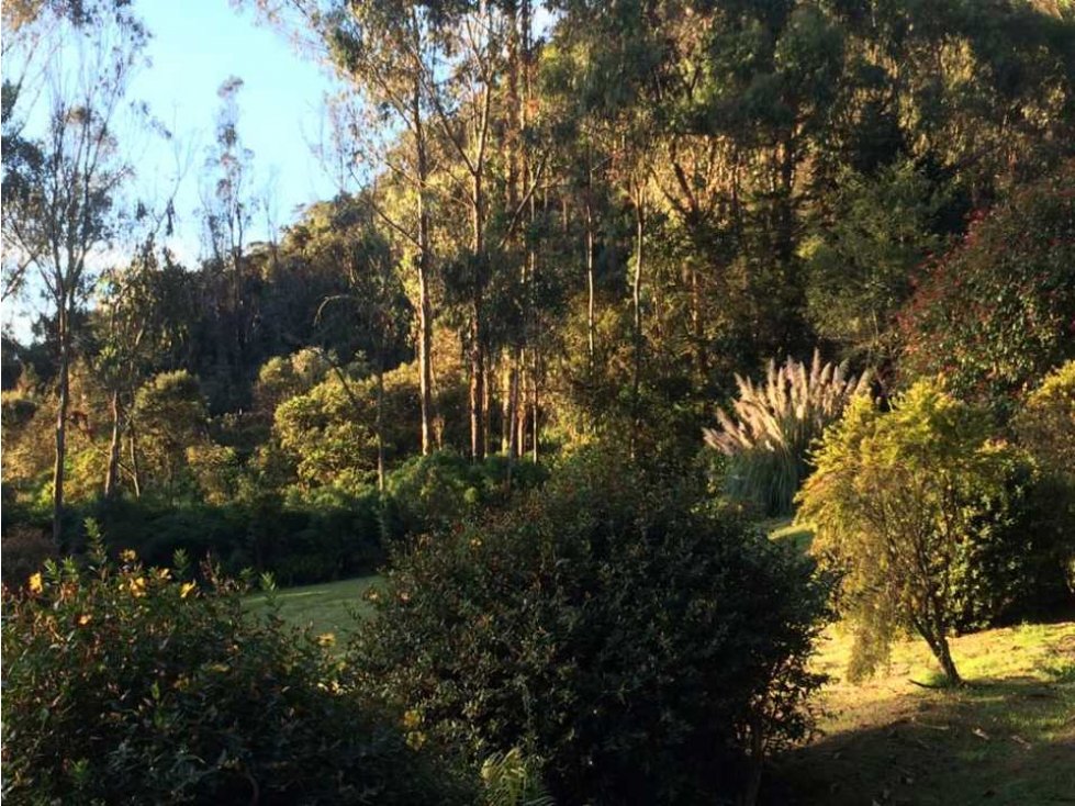 VENDO CASA CAMPESTRE VDA SANTA ISABEL VIA ALTOS DE POTOSI - GUASCA - 5