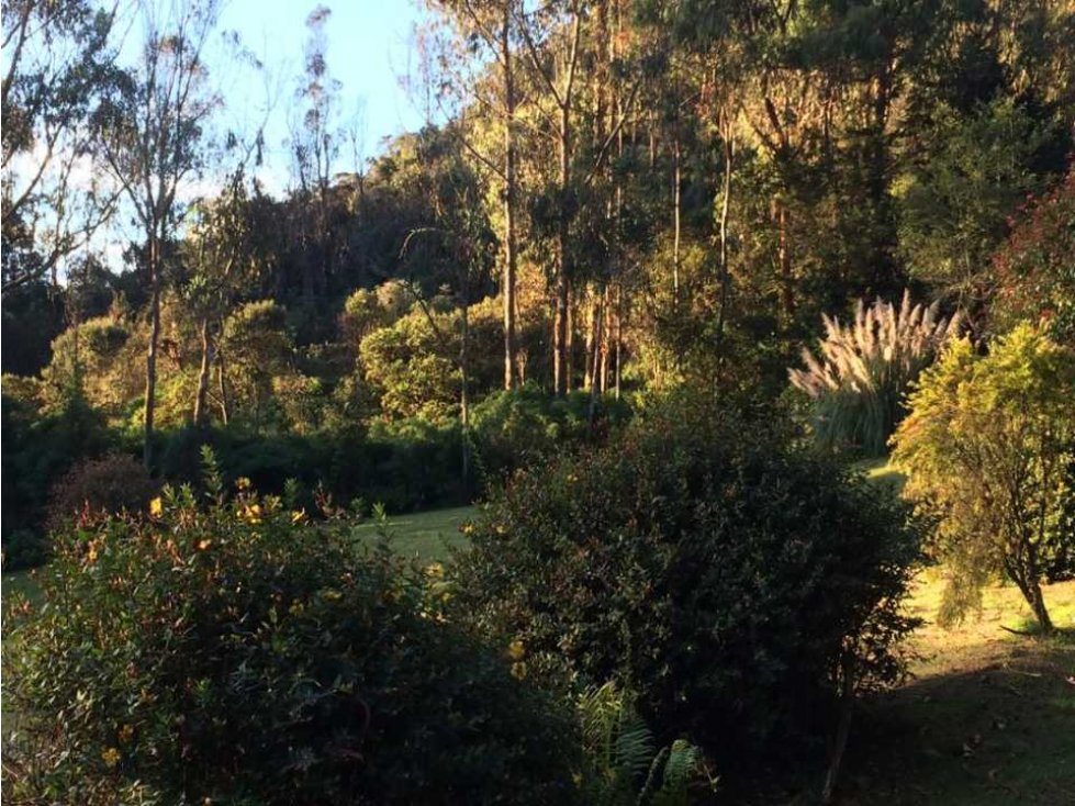 VENDO CASA CAMPESTRE VDA SANTA ISABEL VIA ALTOS DE POTOSI - GUASCA - 6