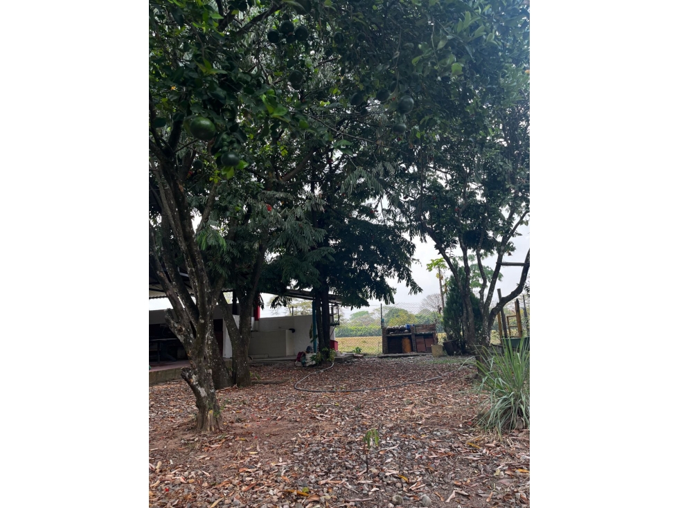 Vendo Finca Vereda los medios - 2