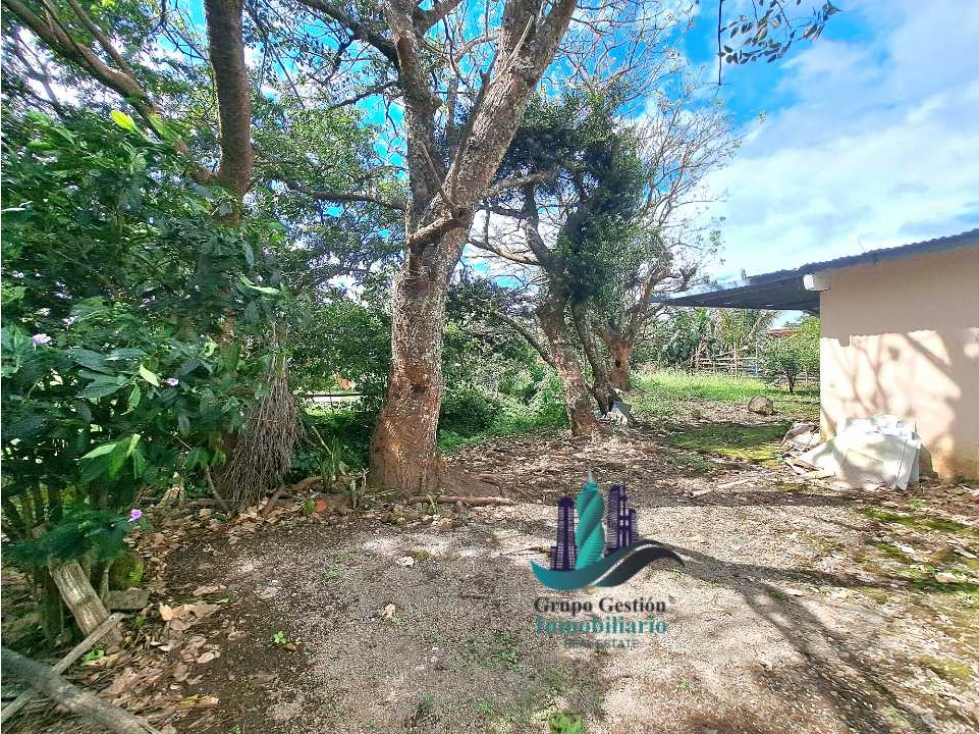 VENDO CASA COMERCIAL 1000MTS ALTO BOQUETE - 4