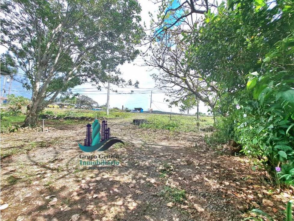 VENDO CASA COMERCIAL 1000MTS ALTO BOQUETE - 6