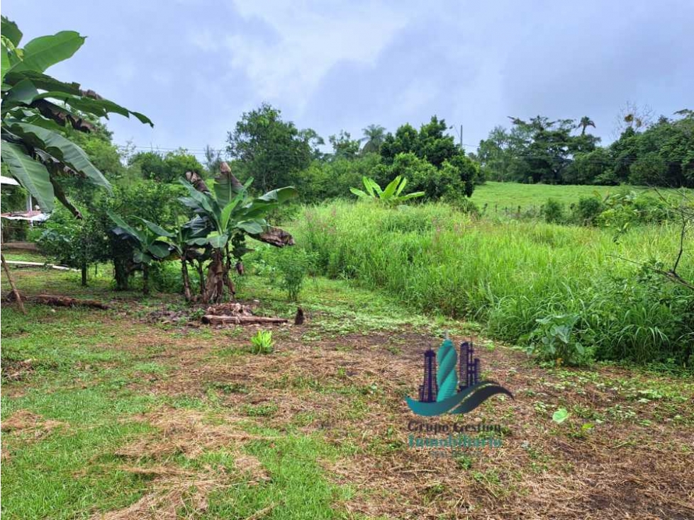 VENDO CASA CON 1HECTAREA FRONTERA - 2