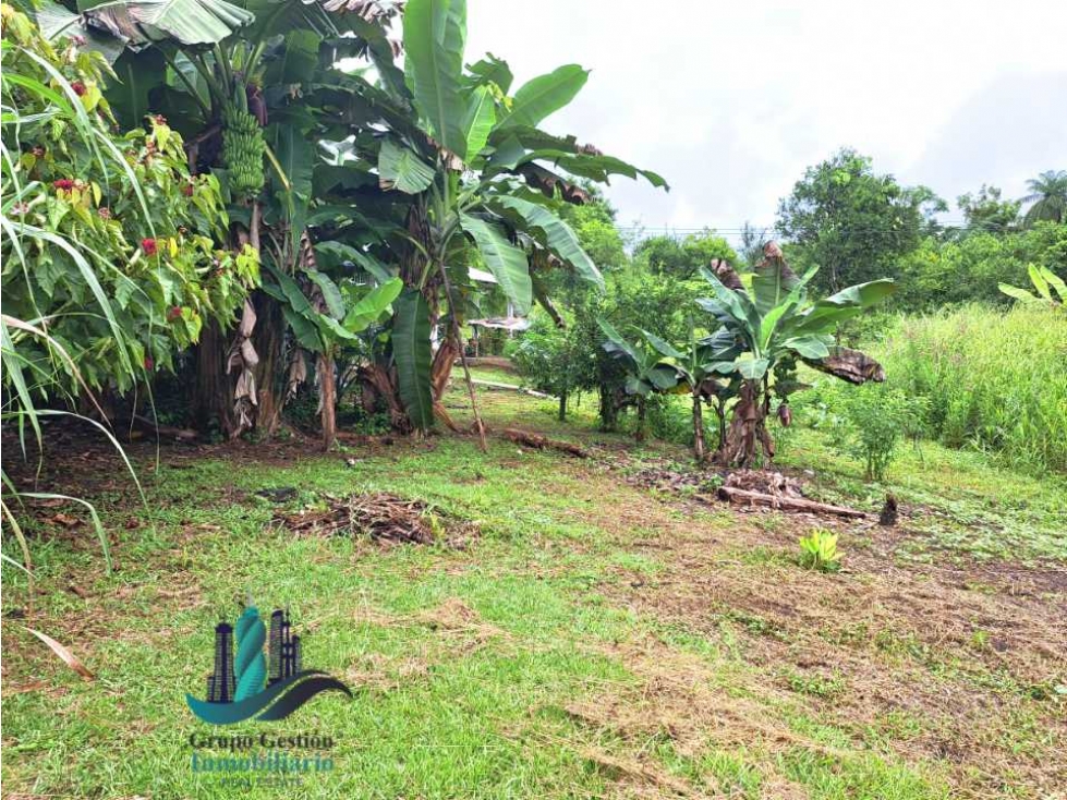 VENDO CASA CON 1HECTAREA FRONTERA - 3