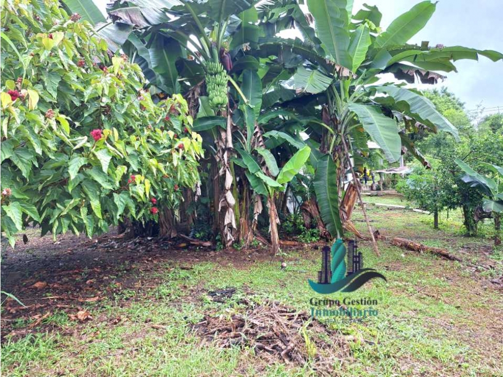 VENDO CASA CON 1HECTAREA FRONTERA - 4