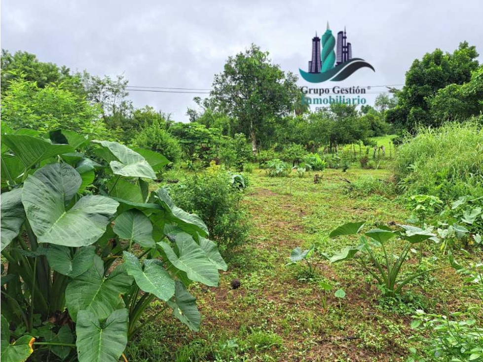 VENDO CASA CON 1HECTAREA FRONTERA - 6