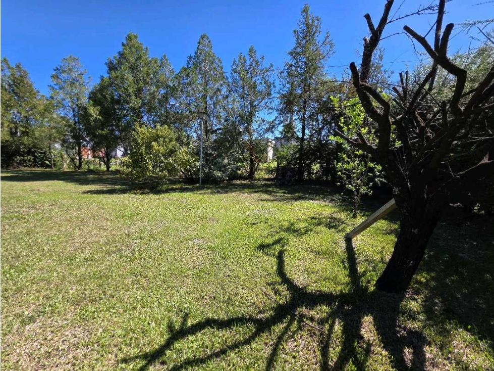 Vendo Casa con Amplio Parque en Concepción del Uruguay, Entre Ríos — foto 4