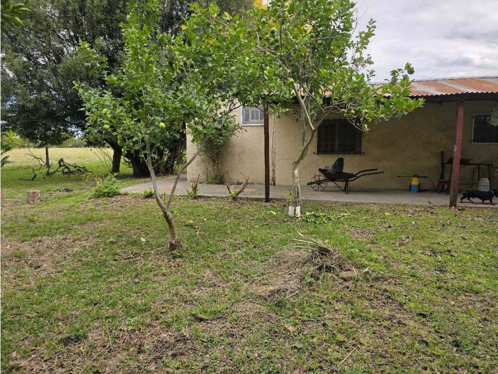 Vendo Casa con amplio terreno en Herrera, Entre Ríos. - 2