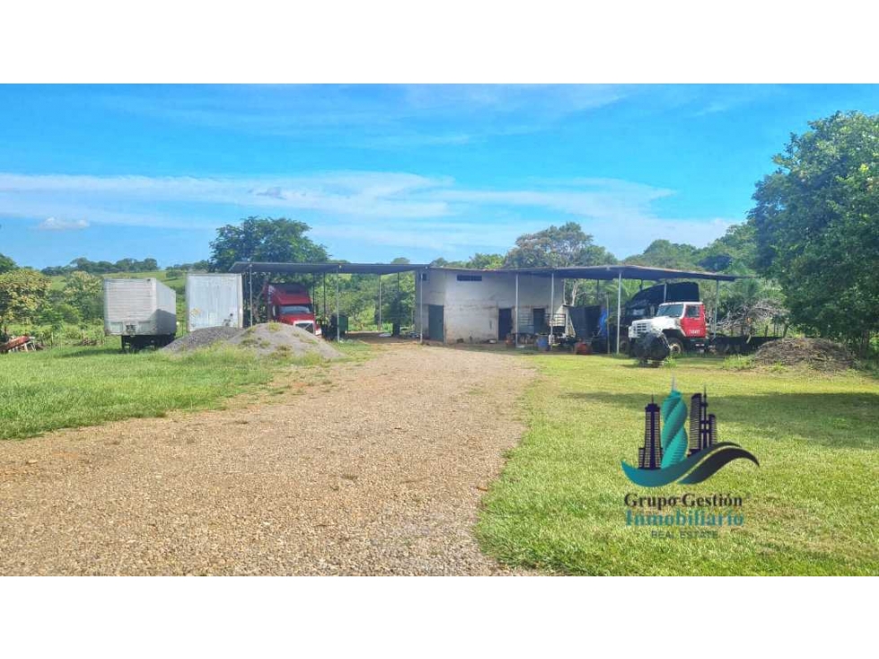 VENDO CASA CON TERRENO DE 1HECTAREA FRENTE A LA INTERAMERICANA — foto 5