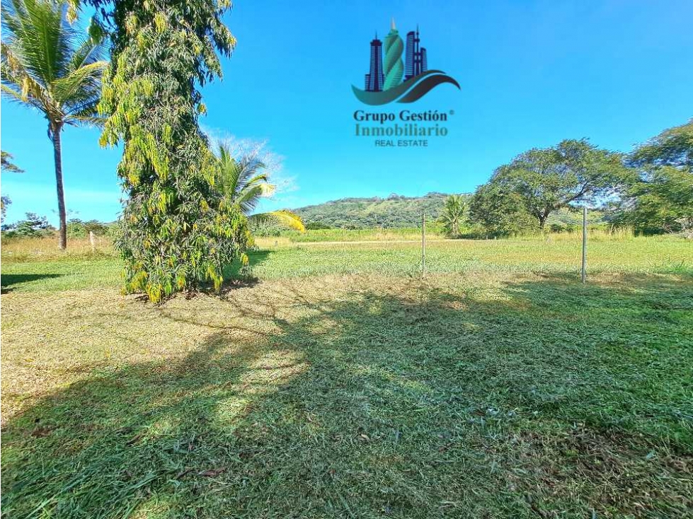 VENDO CASA CON TERRENO DE 1HECTAREA Y 8665M2 — foto 6