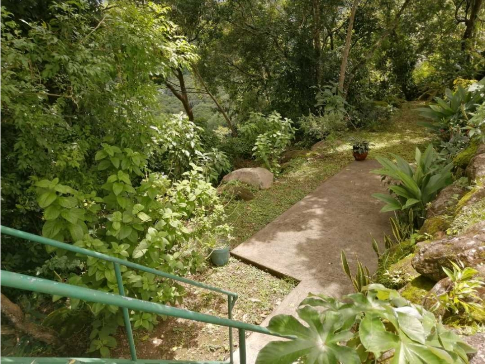 VENDO CASA DE 3HAB Y 1127M2 EN LOS MOLINOS - 2