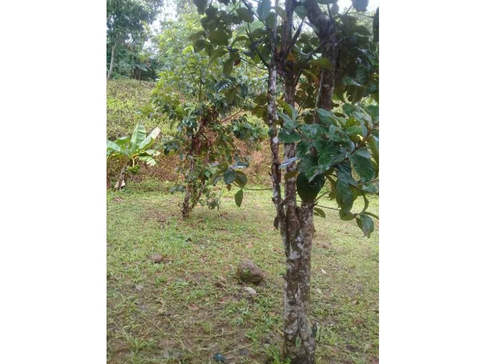 VENDO CASA DE CAMPO Y 900M2 EN EL NANCITO - 4