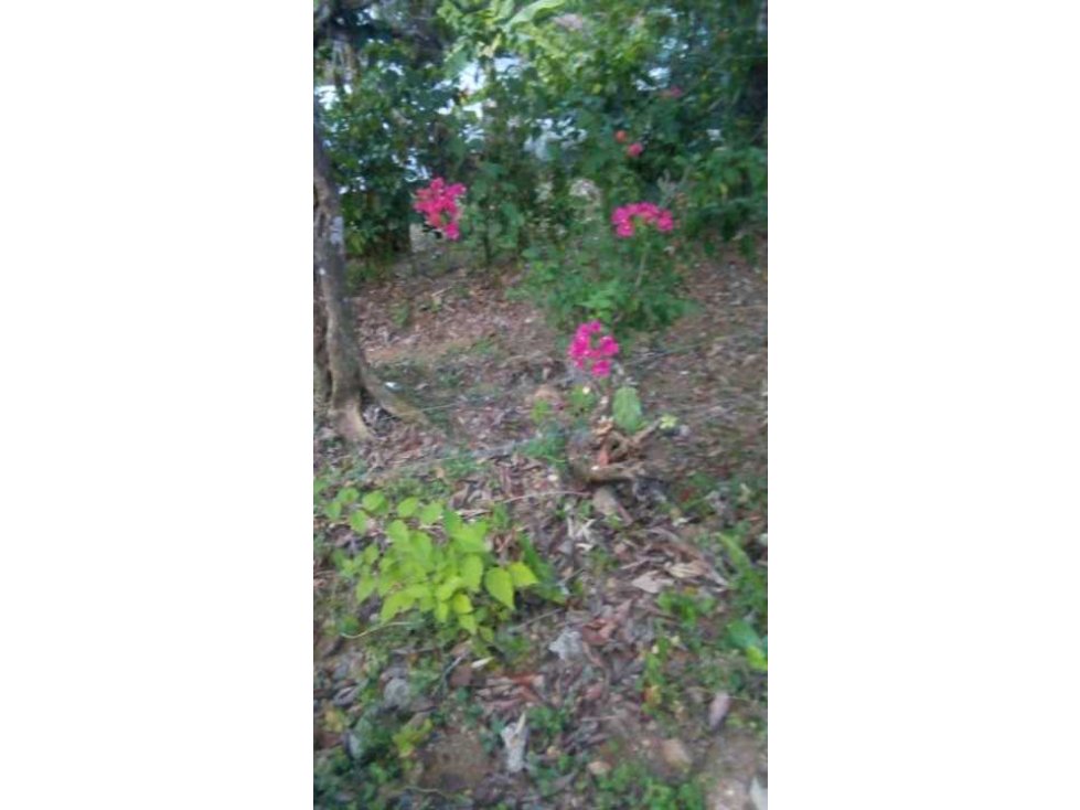 VENDO CASA DE CAMPO Y 900M2 EN EL NANCITO - 6
