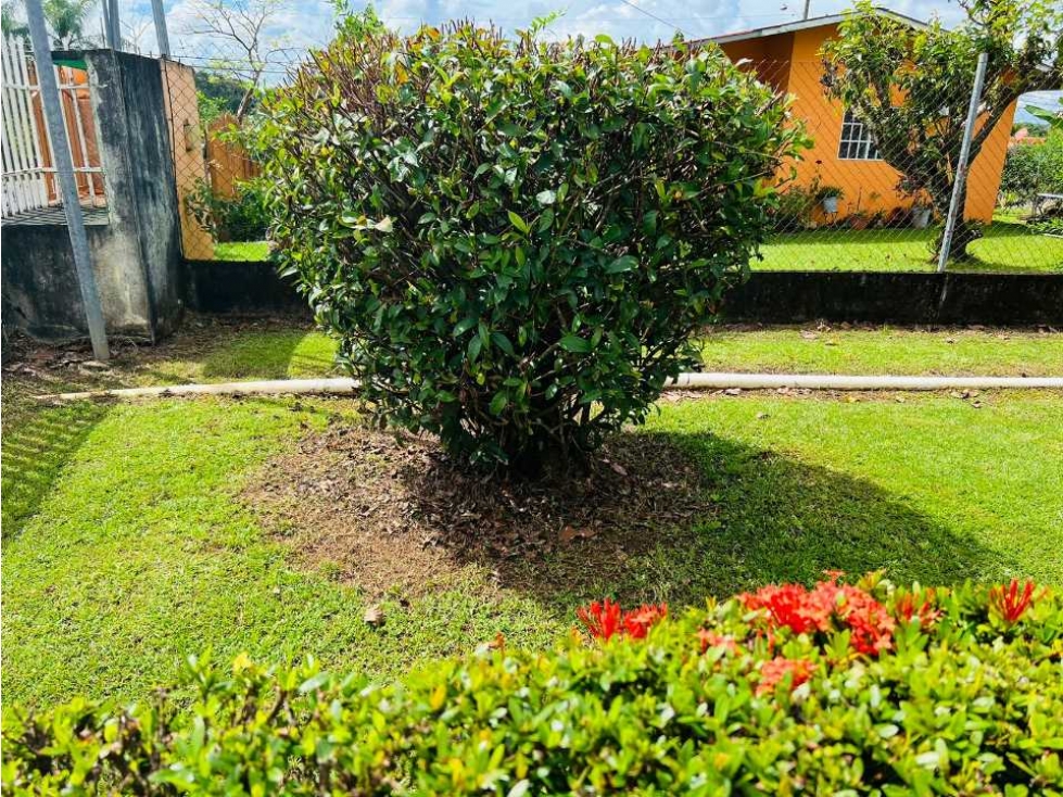 VENDO CASA DE SEGUNDA BIEN UBICADA EN DAVID - 6
