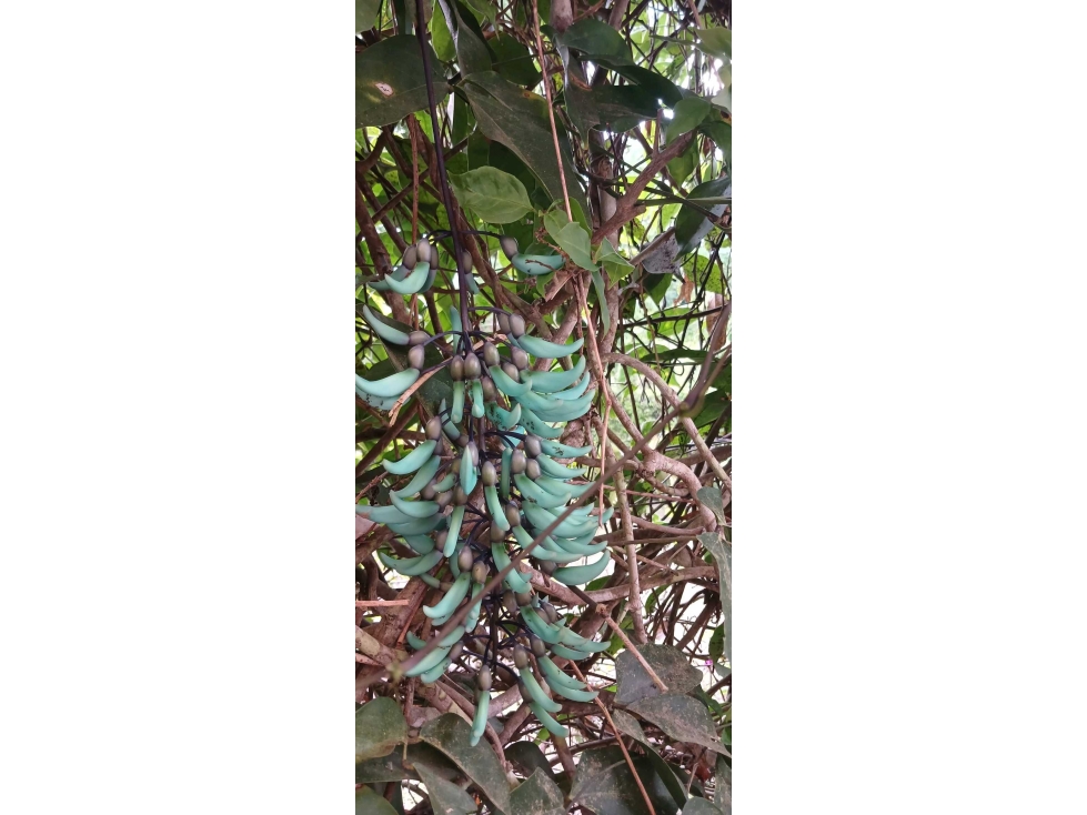 VENDO CASA EN EL CARMEN — foto 5