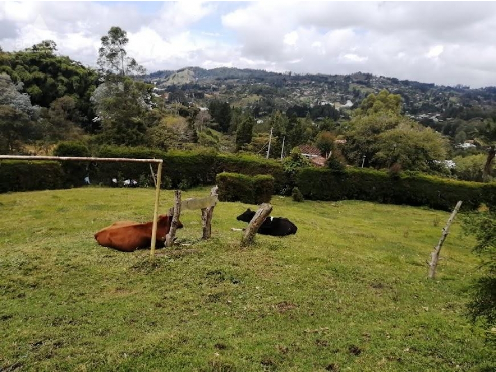 Vendo Casa en Guarne — foto 6