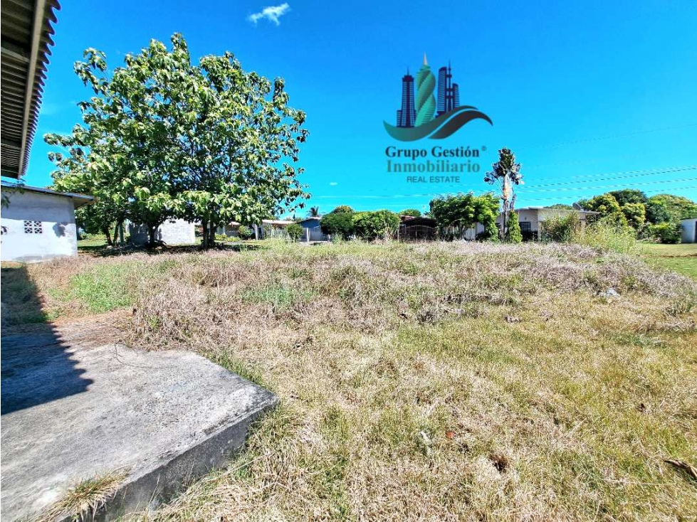 VENDO CASA 3HABITACIONES Y DOS BAÑOS LA ARBOLEDA — foto 3