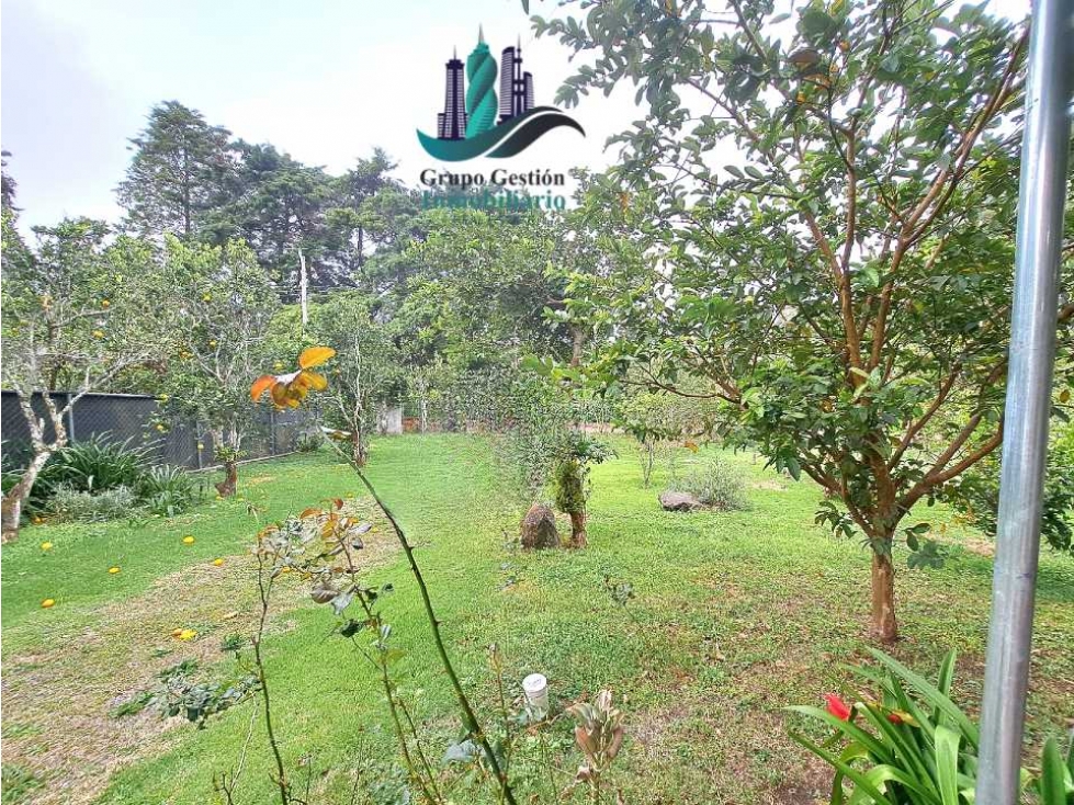 VENDO CASA EN LOTE DE 1100M2 PALMIRA ARRIBA - 5