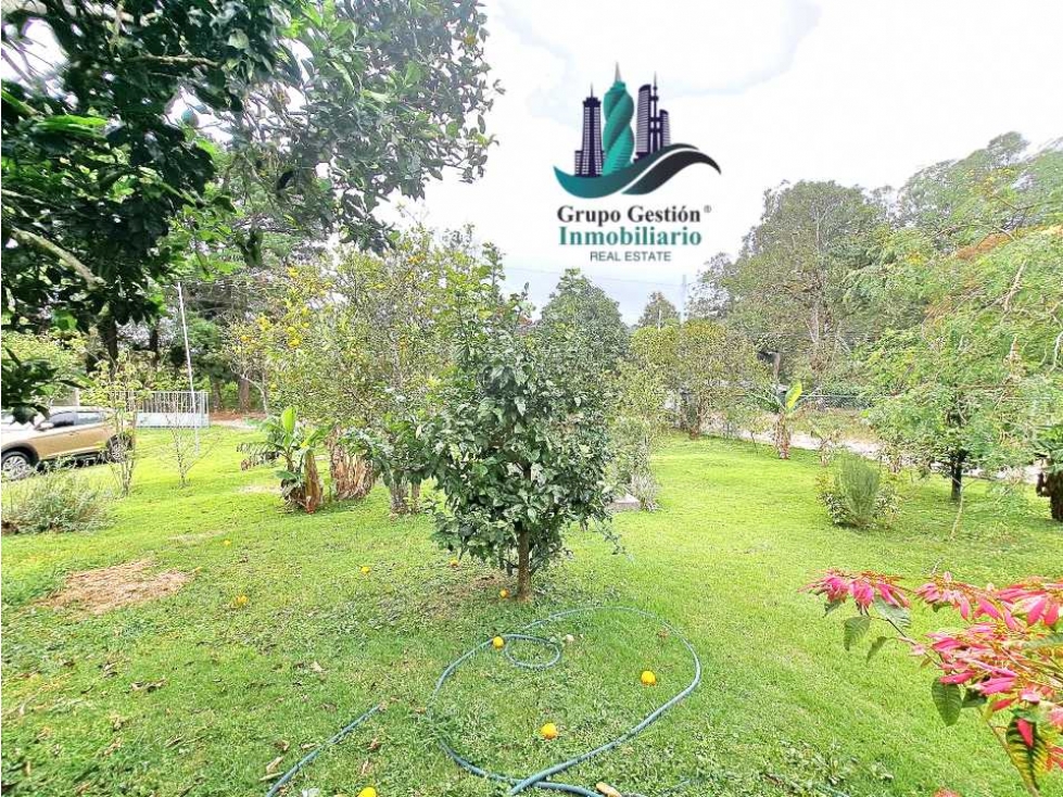 VENDO CASA EN LOTE DE 1100M2 PALMIRA ARRIBA - 6