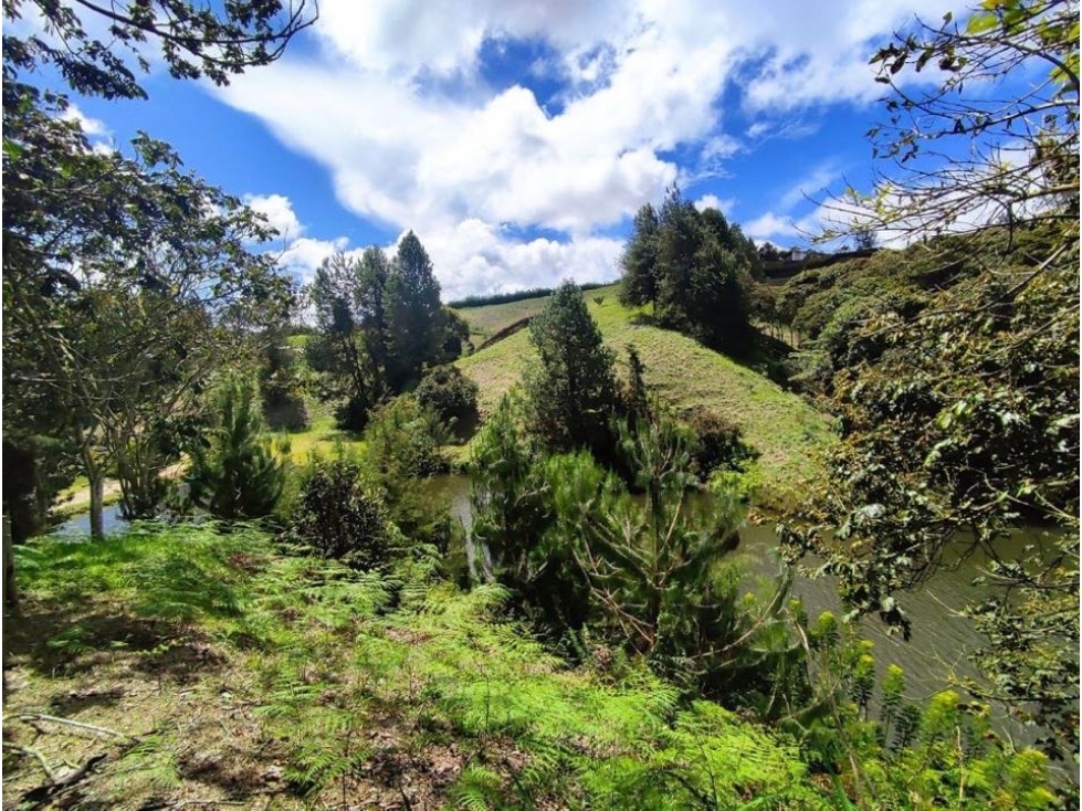 VENDO CASA EN SIERRAS DE LA MACARENA SECTOR LA CIMARRONA MARINILLA — foto 3