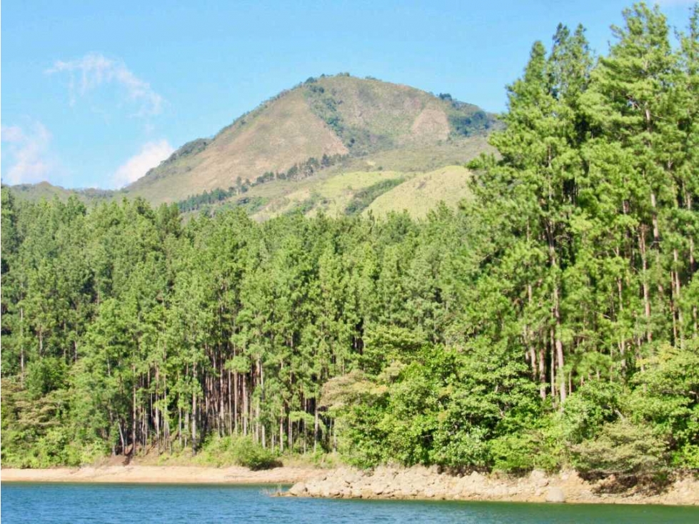 VENDO CASA CAMPESTRE 2500M2 4 RECAMARAS SANTIAGO DE VERAGUAS - 2