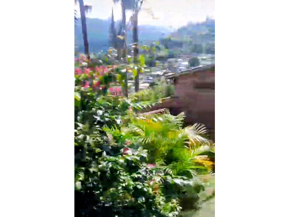 Vendo Casa finca en cali kilometro 18 via al mar 7.000 M2 — foto 6