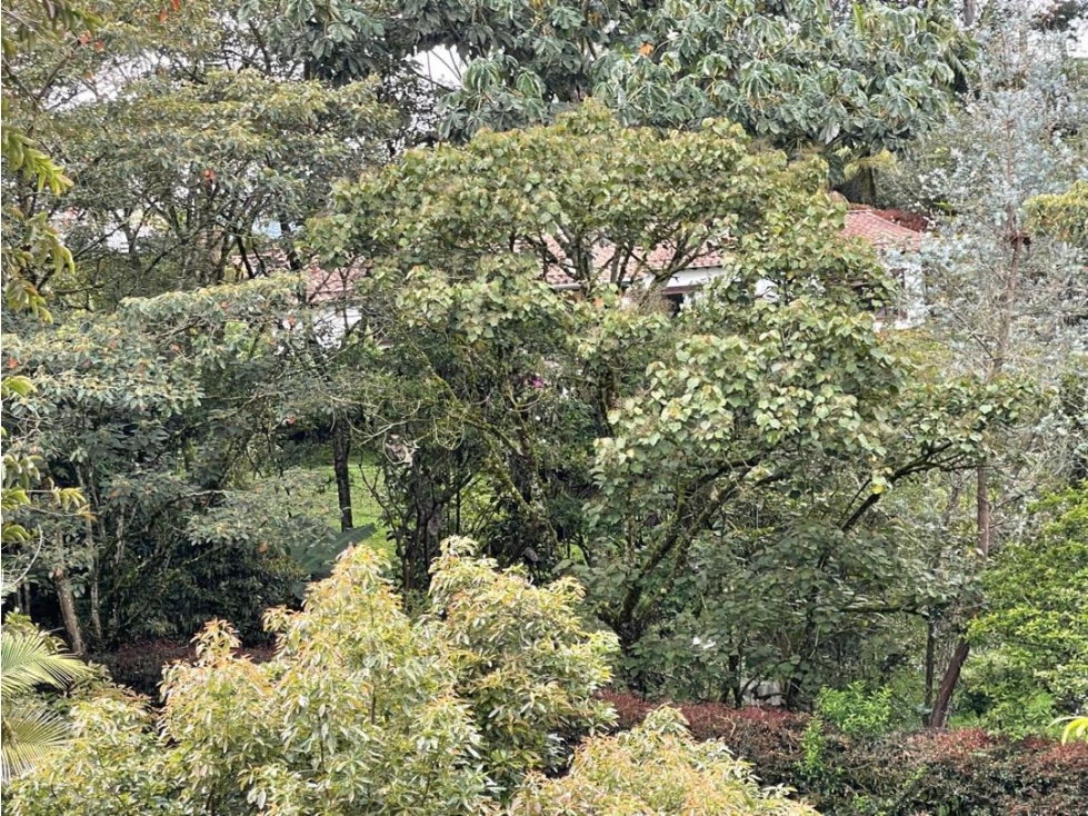 VENDO CASA FINCA EN EL CARMEN DE VIBORAL — foto 5