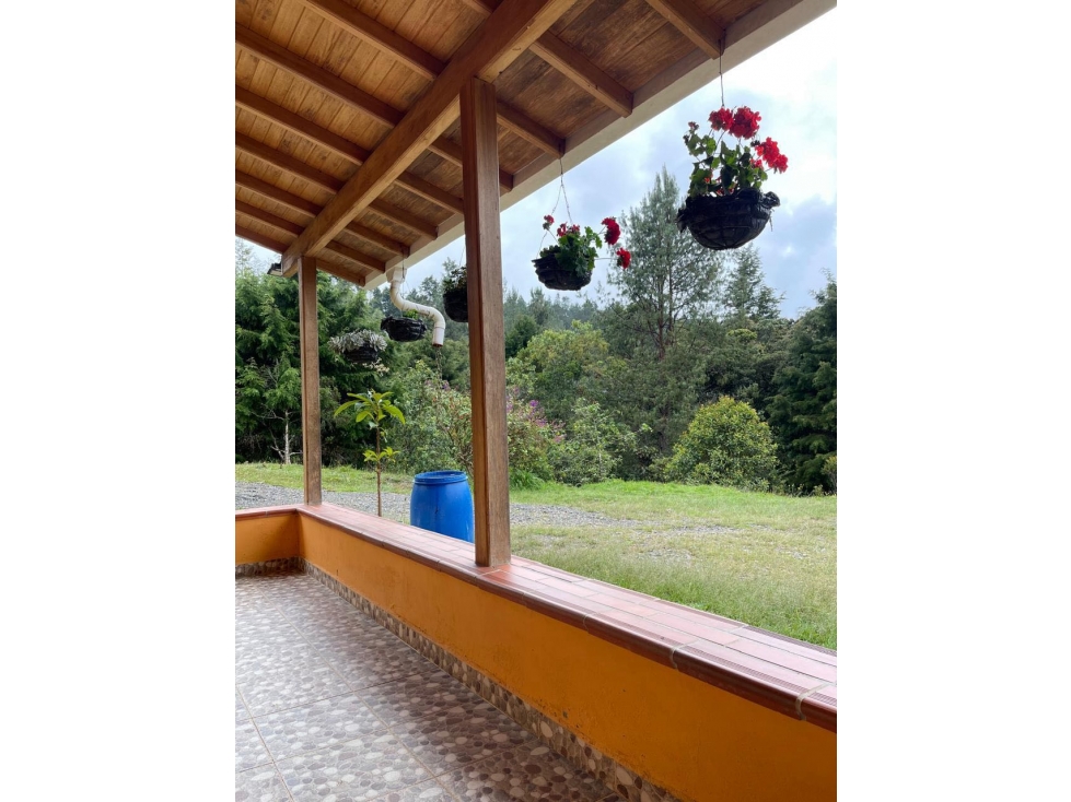 Vendo casa finca en Guarne Antioquia vereda piedras blancas — foto 3