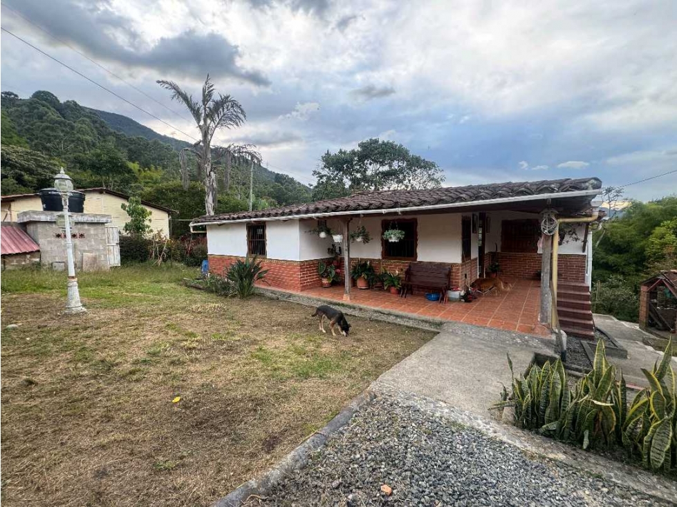 Vendo casa lote en san Antonio de prado