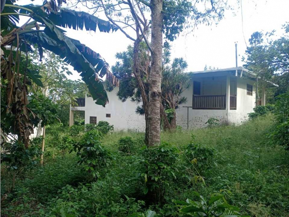 VENDO CASA FUNCIONAL CON LOTE DE 5182M2 - 6