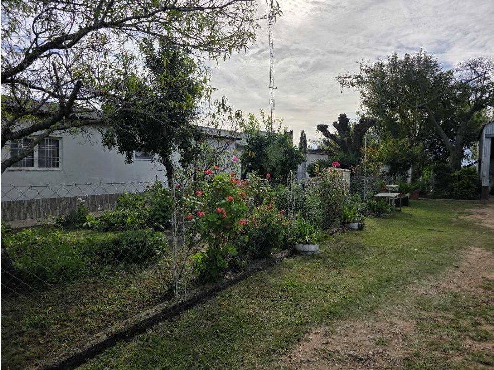 Vendo Casa, Galpón y Gran terreno en Herrera, Entre Ríos. - 3