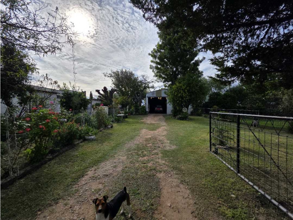 Vendo Casa, Galpón y Gran terreno en Herrera, Entre Ríos. - 6