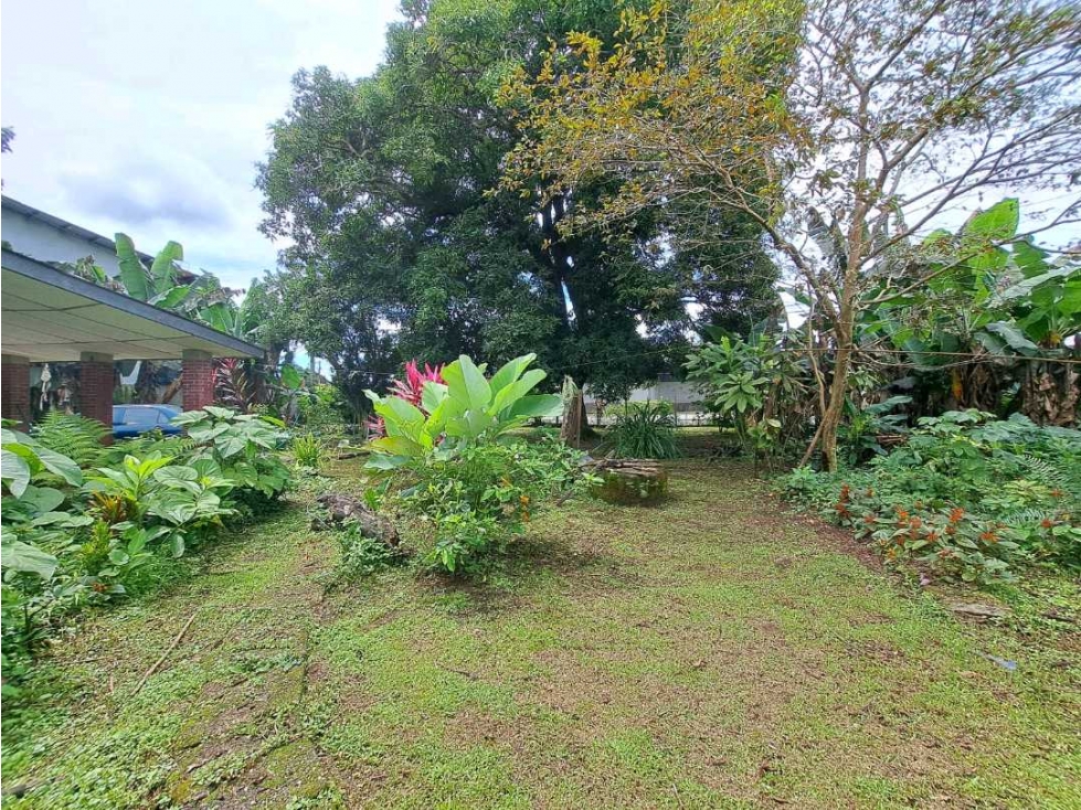 VENDO CASA LOTE BUEN PUNTO CHIRIQUI BUGABA - 4