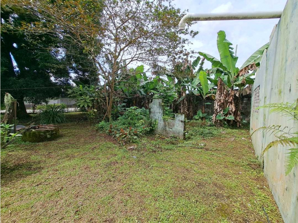 VENDO CASA LOTE BUEN PUNTO CHIRIQUI BUGABA - 5