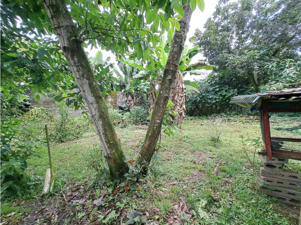 VENDO CASA LOTE BUEN PUNTO CHIRIQUI BUGABA - 6