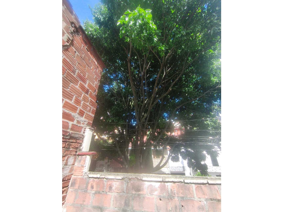 VENDO CASA LOTE EL SALVADOR BUENOS AIRES SOTANO + TERRAZA — foto 3