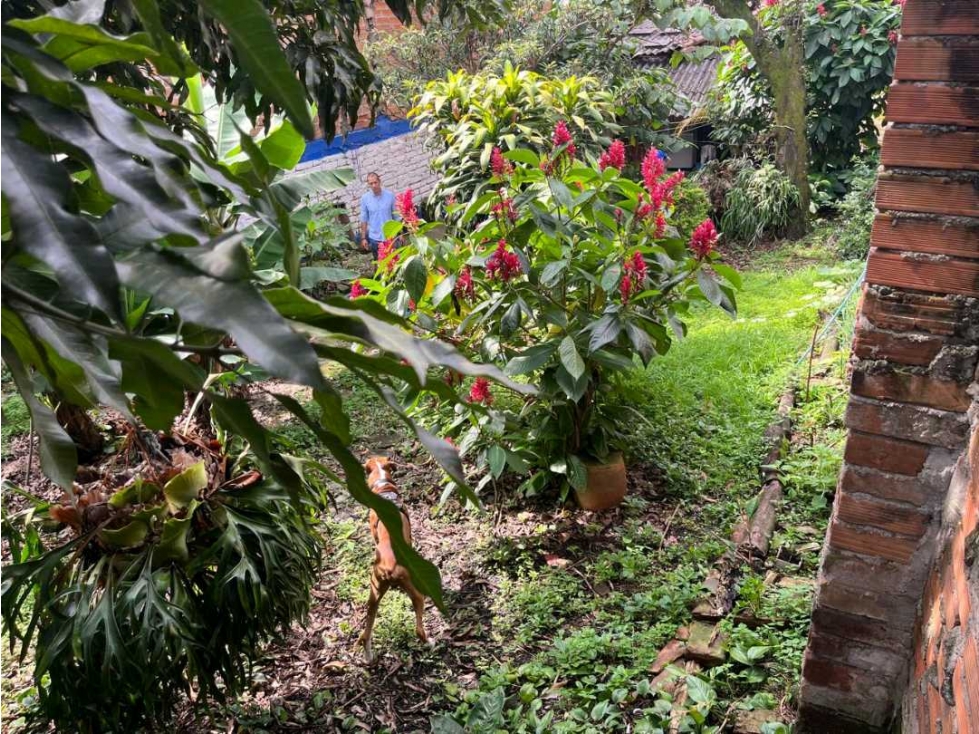 VENDO CASA LOTE EN BUENOS AIRES