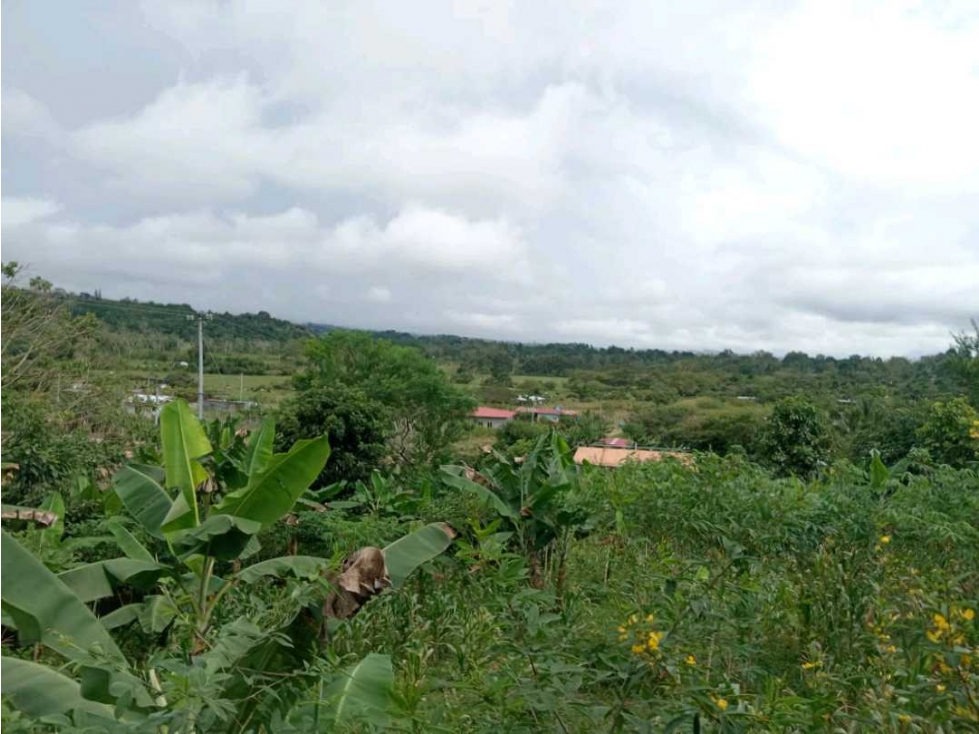 VENDO CASA LOTE EN RIO SERENO CHIRIQUÍ - 3