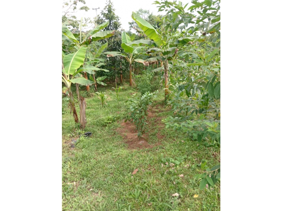 VENDO CASA LOTE EN RIO SERENO CHIRIQUÍ - 5