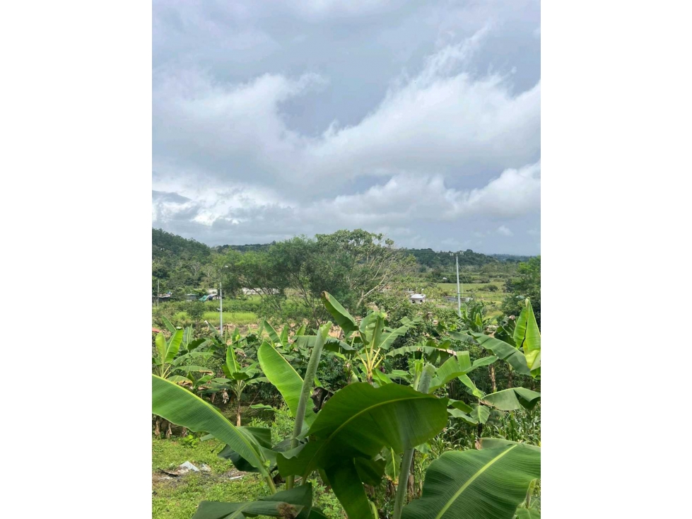 VENDO CASA LOTE EN RIO SERENO CHIRIQUÍ - 6