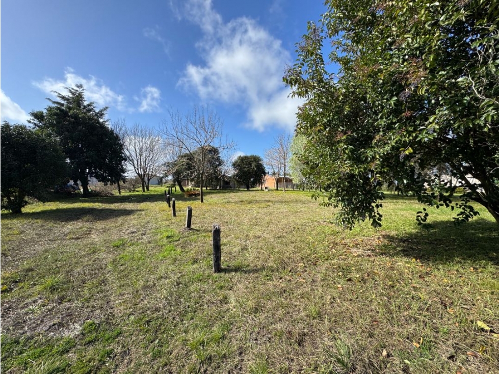 Vendo Casa Quinta en Concepción del Uruguay, Entre Ríos — foto 3